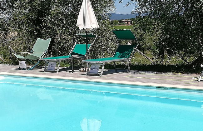 Bio Agriturismo La Spiga D'oro - Foto 13
