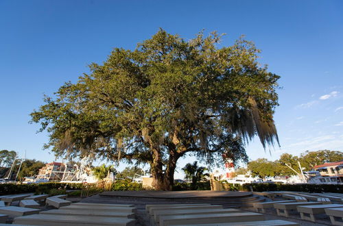 Photo 25 - 2342 Racquet Club at The Sea Pines Resort