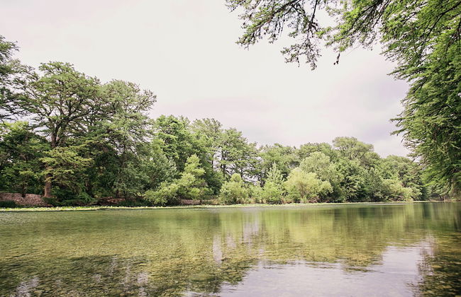 Frio River Cabins - Foto 59