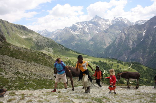 Photo 20 - Alpe Rebelle