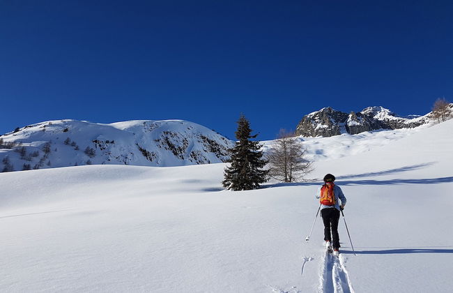 Alpe Rebelle - Foto 19