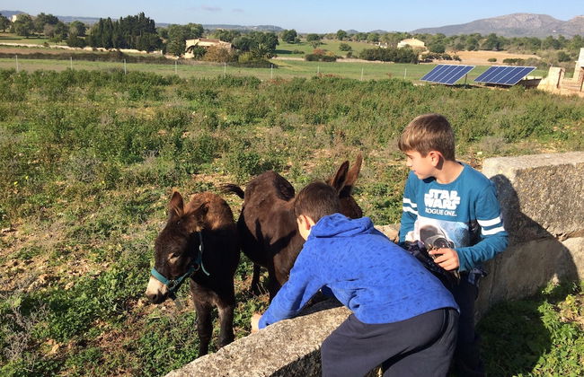 Ca Na Nina - Foto 48