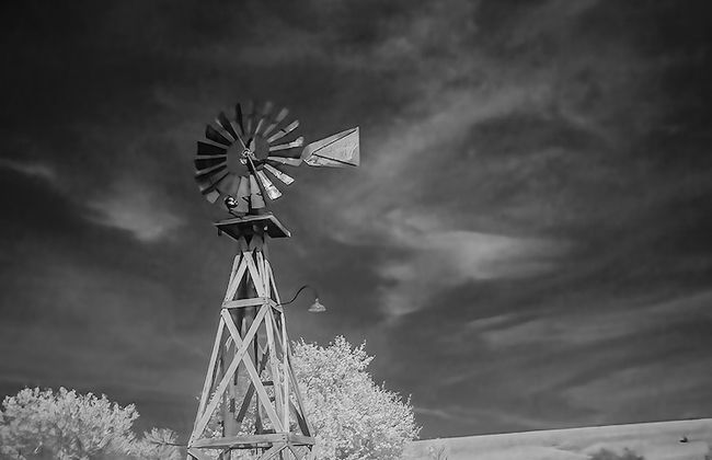 Snow Goose Lodge at Gamekeeper's Marsh - Photo 42
