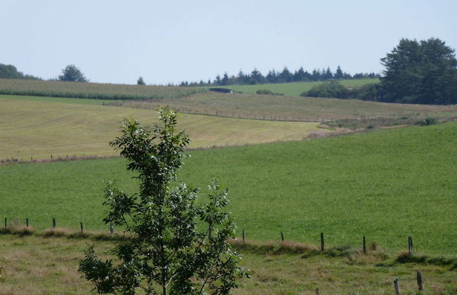 Cozy Nimbermont Home - Foto 38