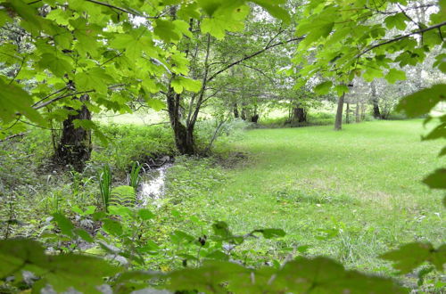 Photo 22 - Beautiful Farmhouse in Sivry-rance With Garden