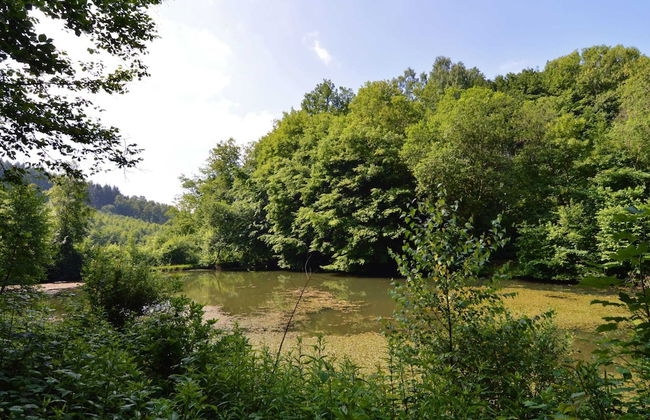 Forest Cottage With Ponds - Foto 29