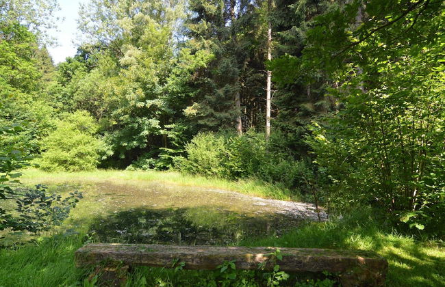 Holiday Home in Noirefontaine With Fishing Pond - Foto 30