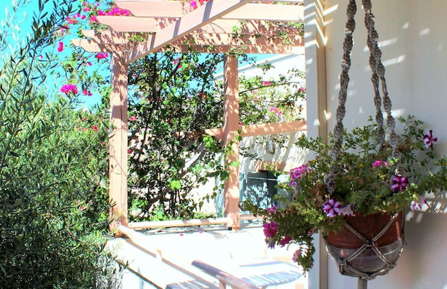 Nissia Kamares Hotel Apartments - Foto 42