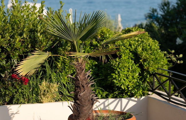 Blue Crystal Villa - Foto 45