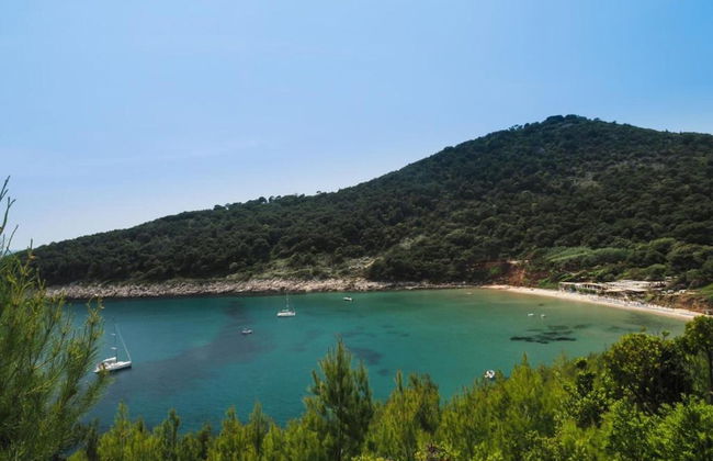 Apartment in Dubrovni With Garden - Foto 31