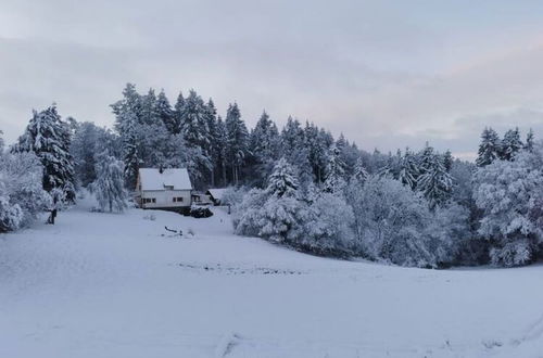 Photo 32 - Holiday Home in Filz near River