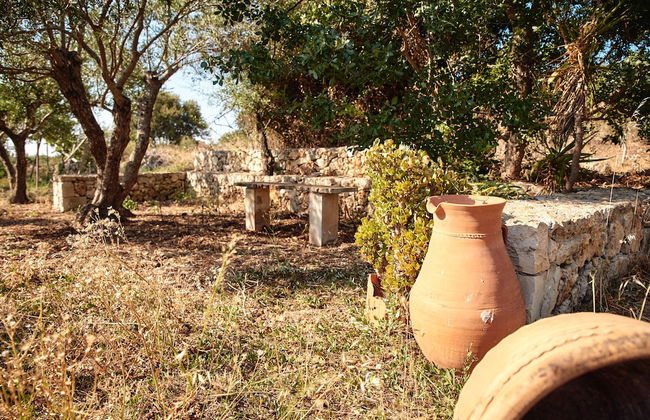 Vamos Fabrica Farm - Photo 47