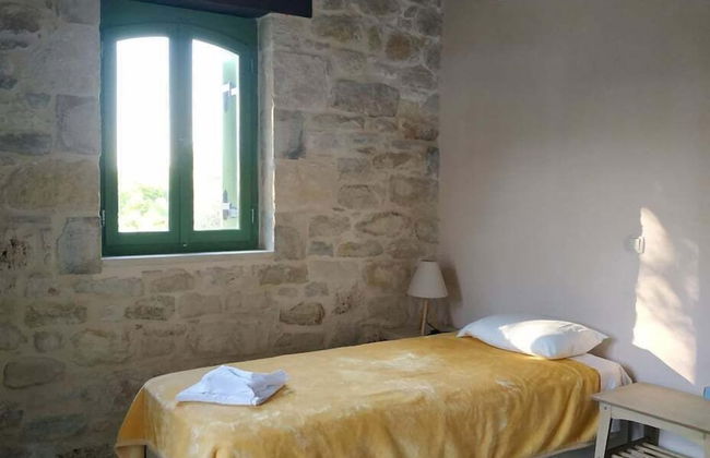 Vamos Fabrica Farm - Photo 13