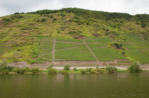 Photo 20 - Pleasant Apartment in Ernst bei Cochem With Garden