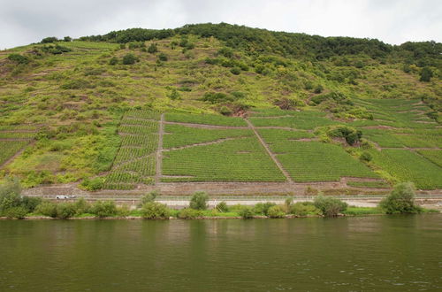 Foto 19 - Pleasant Apartment in Ernst bei Cochem With Garden