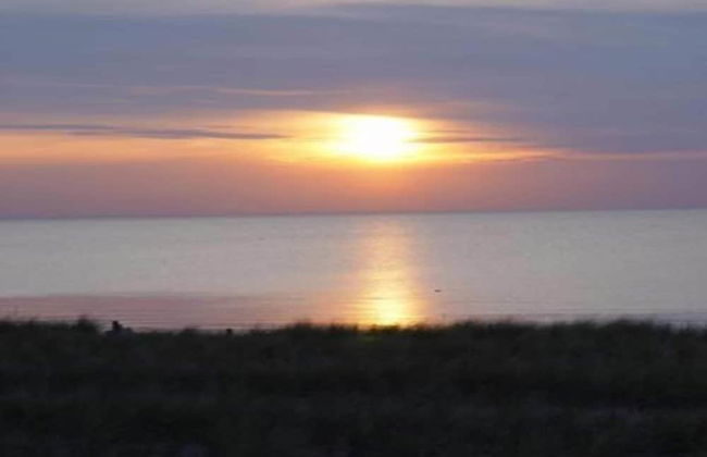 Insel-bungalow auf Poel - Foto 17
