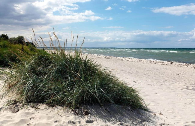 Insel-bungalow auf Poel - Foto 29