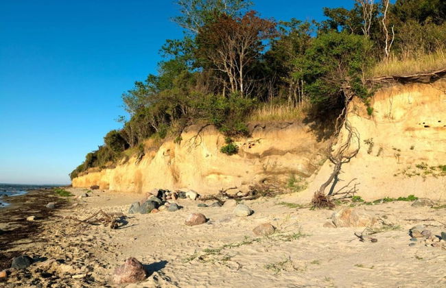 Insel-bungalow auf Poel - Foto 34
