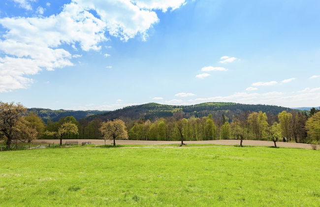 Chic Vacation Home near Forest in Sebnitz Germany - Foto 24