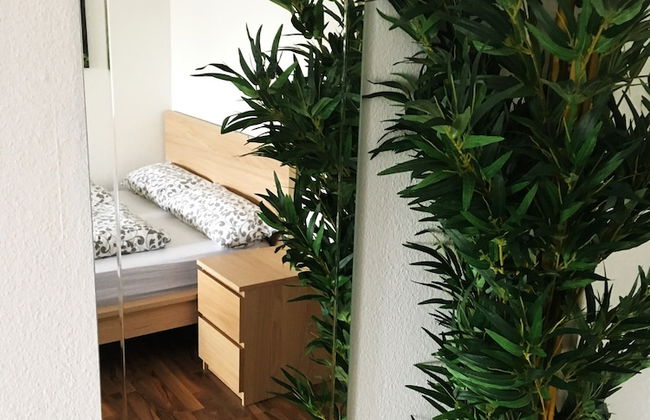 Treetown - Foto 17