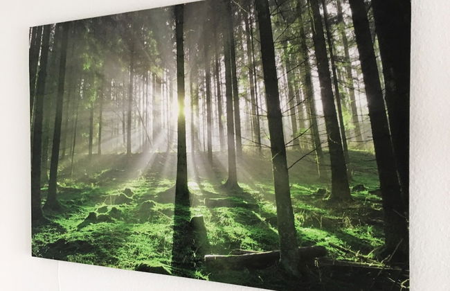 Treetown - Foto 12