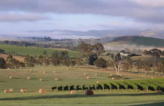 Outlook Hill Vineyard Cottages - Foto 49