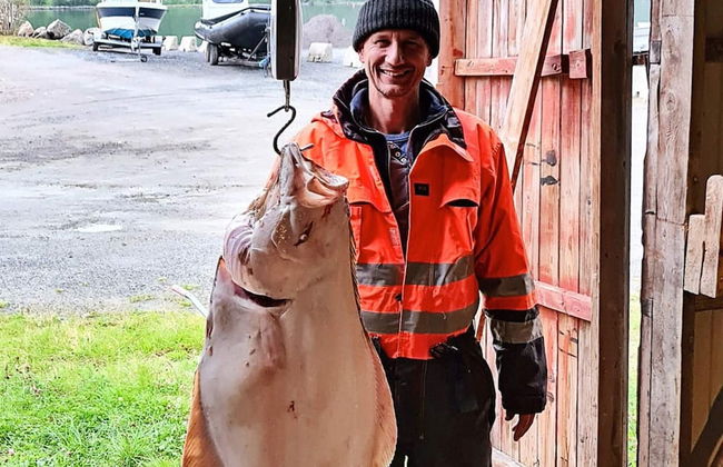 8 Person Holiday Home in Kaldfarnes - Foto 24