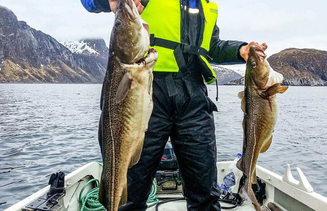 8 Person Holiday Home in Kaldfarnes - Foto 35