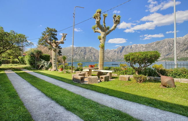 Apartments Ivanovic - Foto 32