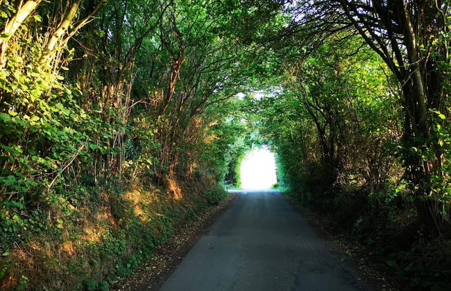 Quaint Holiday Home in Hejls near Sea - Foto 3