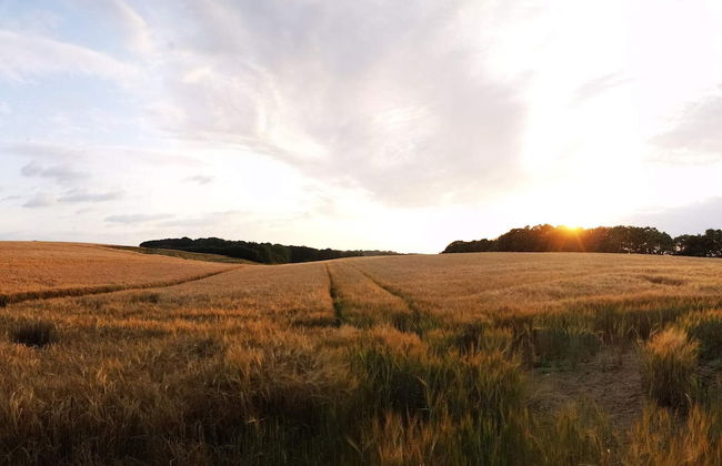 Quaint Holiday Home in Hejls near Sea - Foto 9