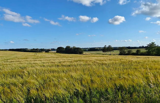 Quaint Holiday Home in Hejls near Sea - Foto 5