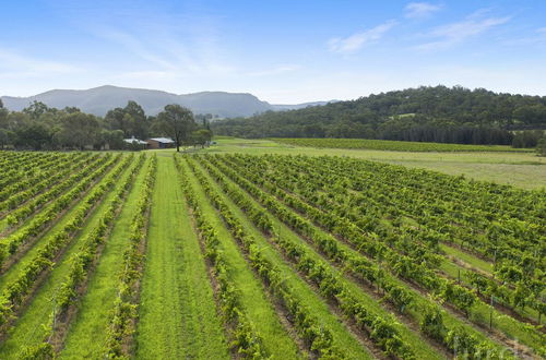 Photo 48 - Pokolbin Farm Stay