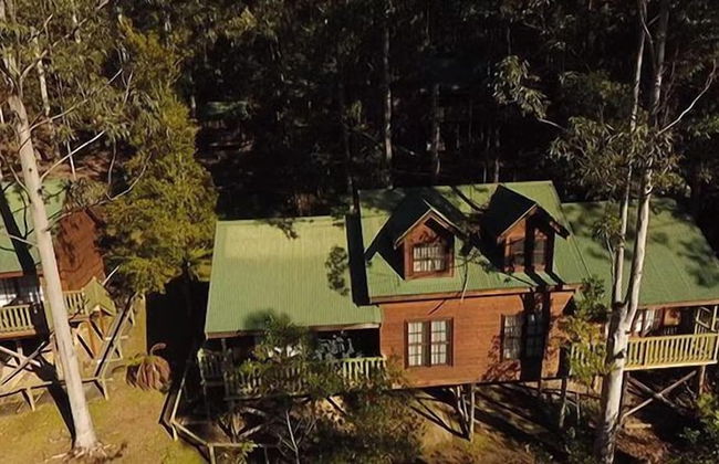 Barrington Wilderness Cedar Lodge Accommodation - Foto 1