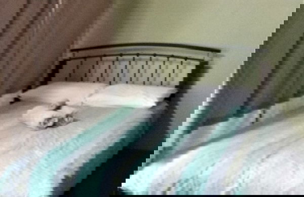 G'day Parks Ararat - Photo 10