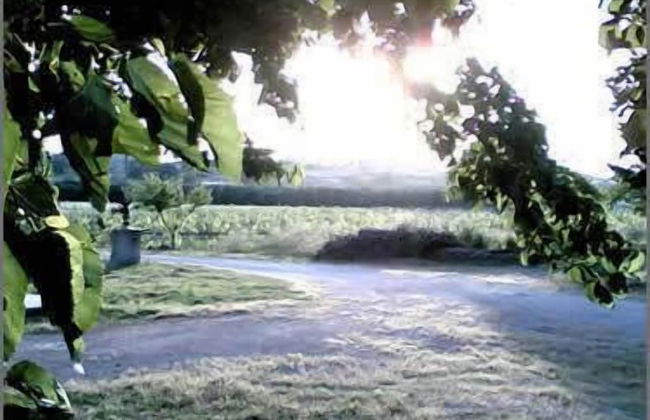 Agriturismo La Natura - Foto 6