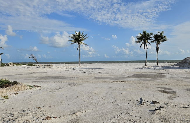 Coral by the Sea 3054, Sleeps 8, Walk to Beach - Foto 28