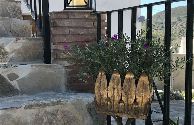 Villa Zahar - Foto 36