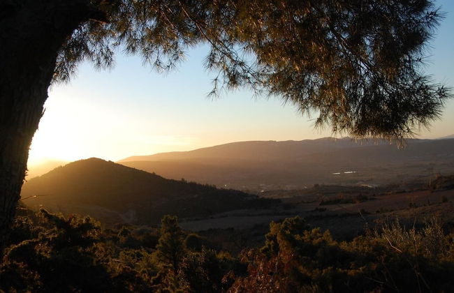 Yourte Nature Saint Roch - Foto 26