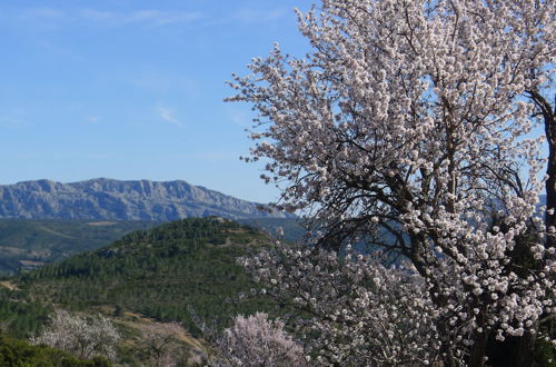 Photo 11 - Yourte Nature Saint Roch