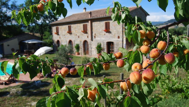 Photo 1 - Podere I Melograni