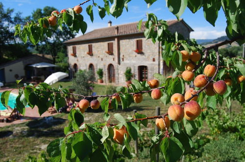 Photo 1 - Podere I Melograni