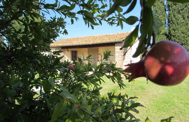 Agriturismo Pretenzano - Foto 59