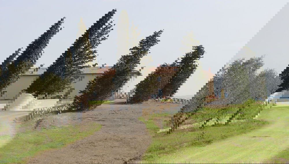 Imagem principal
