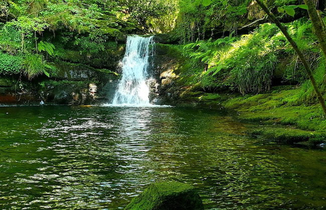 Molino de Yera - Photo 19