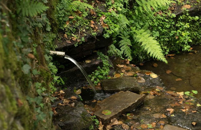 Molino de Yera - Photo 44