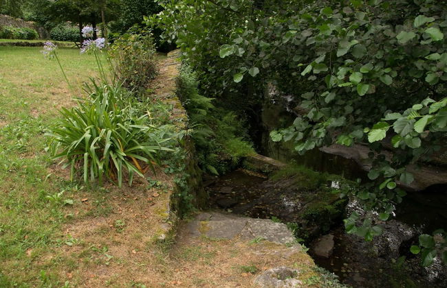 Molino de Yera - Photo 43