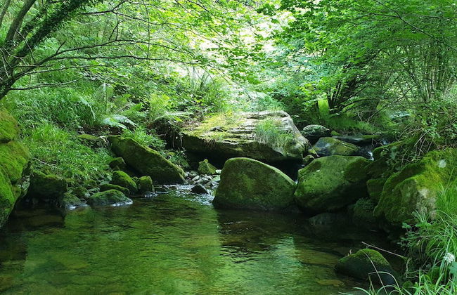 Molino de Yera - Photo 61