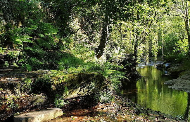 Molino de Yera - Photo 66