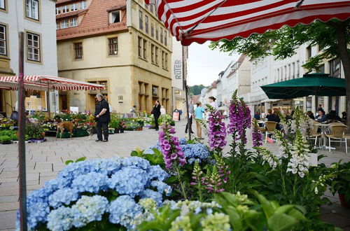 Photo 35 - Boardinghouse Bielefeld